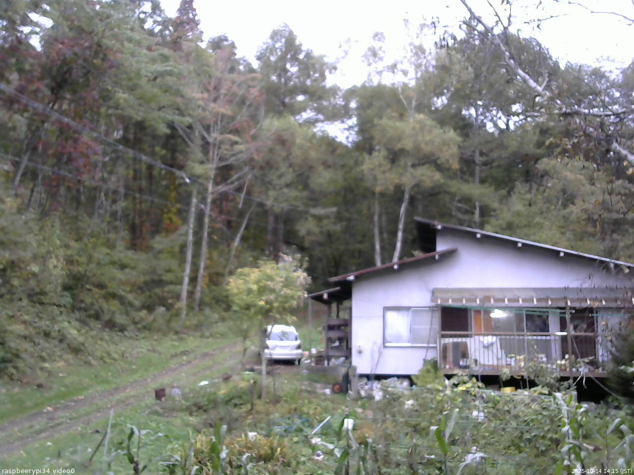 長野県菅平高原 ゆたか山荘 西側(坂上) 2025/10/14 14:15