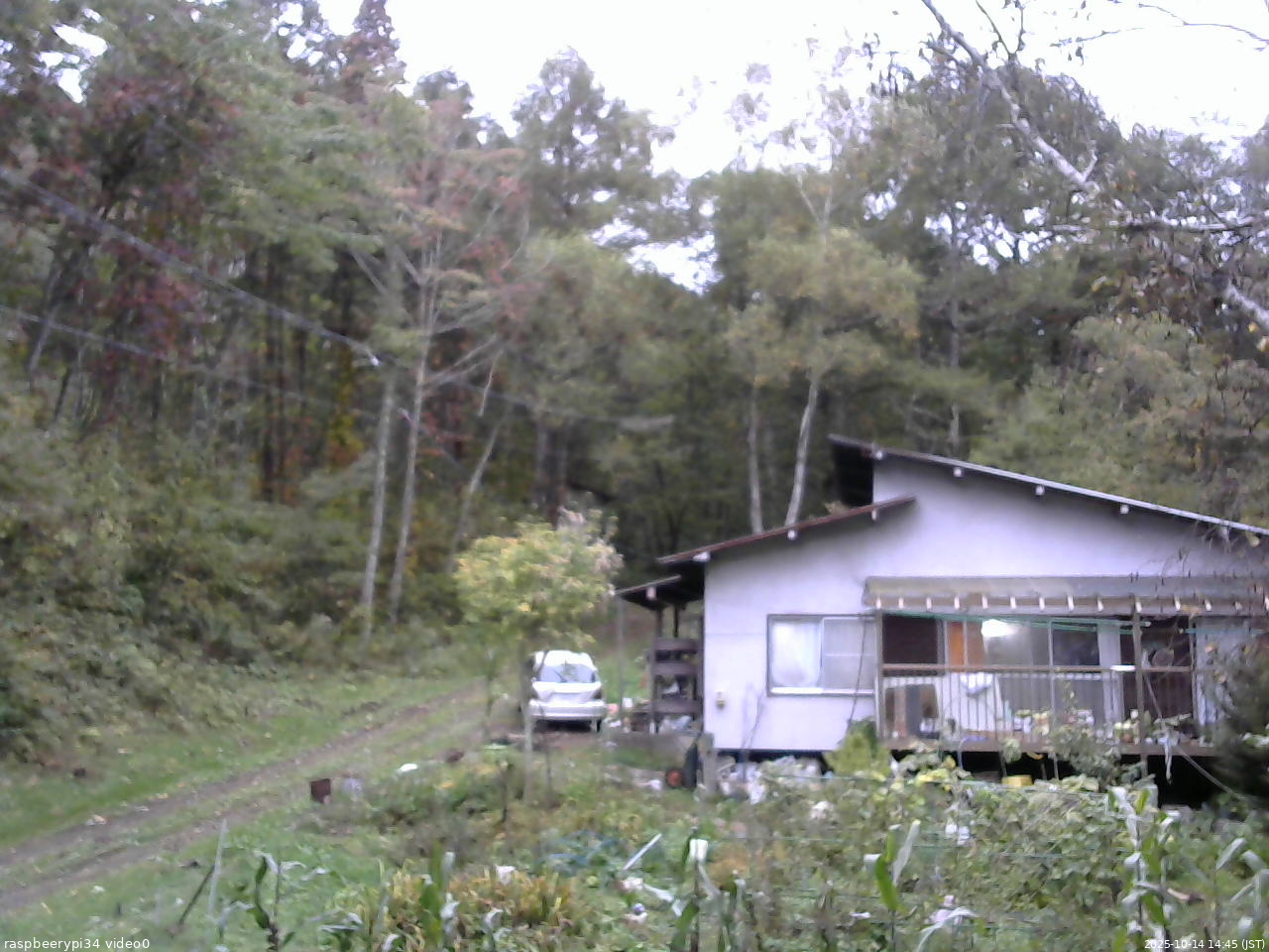 長野県菅平高原 ゆたか山荘 西側(坂上) 2025/10/14 14:45