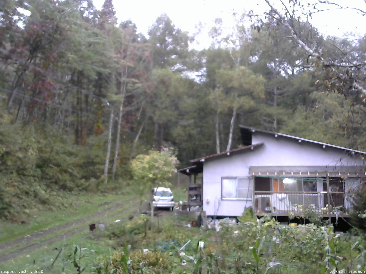 長野県菅平高原 ゆたか山荘 西側(坂上) 2025/10/14 15:30