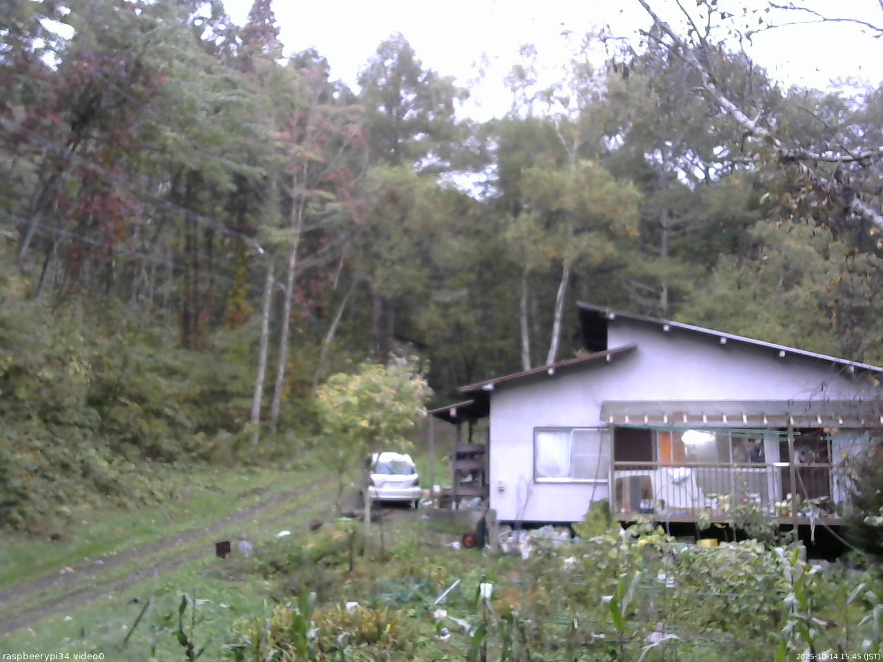 長野県菅平高原 ゆたか山荘 西側(坂上) 2025/10/14 15:45