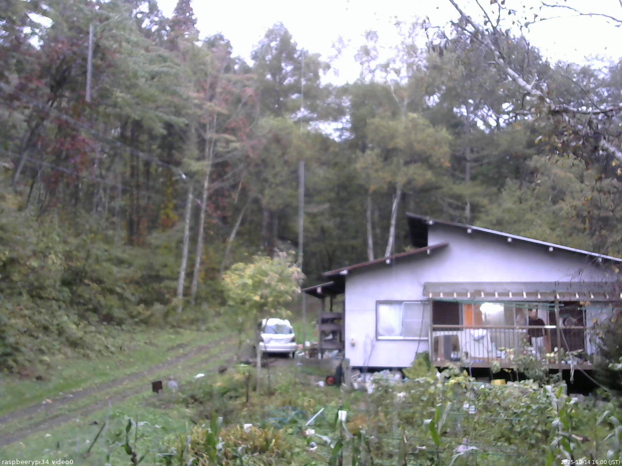 長野県菅平高原 ゆたか山荘 西側(坂上) 2025/10/14 16:00