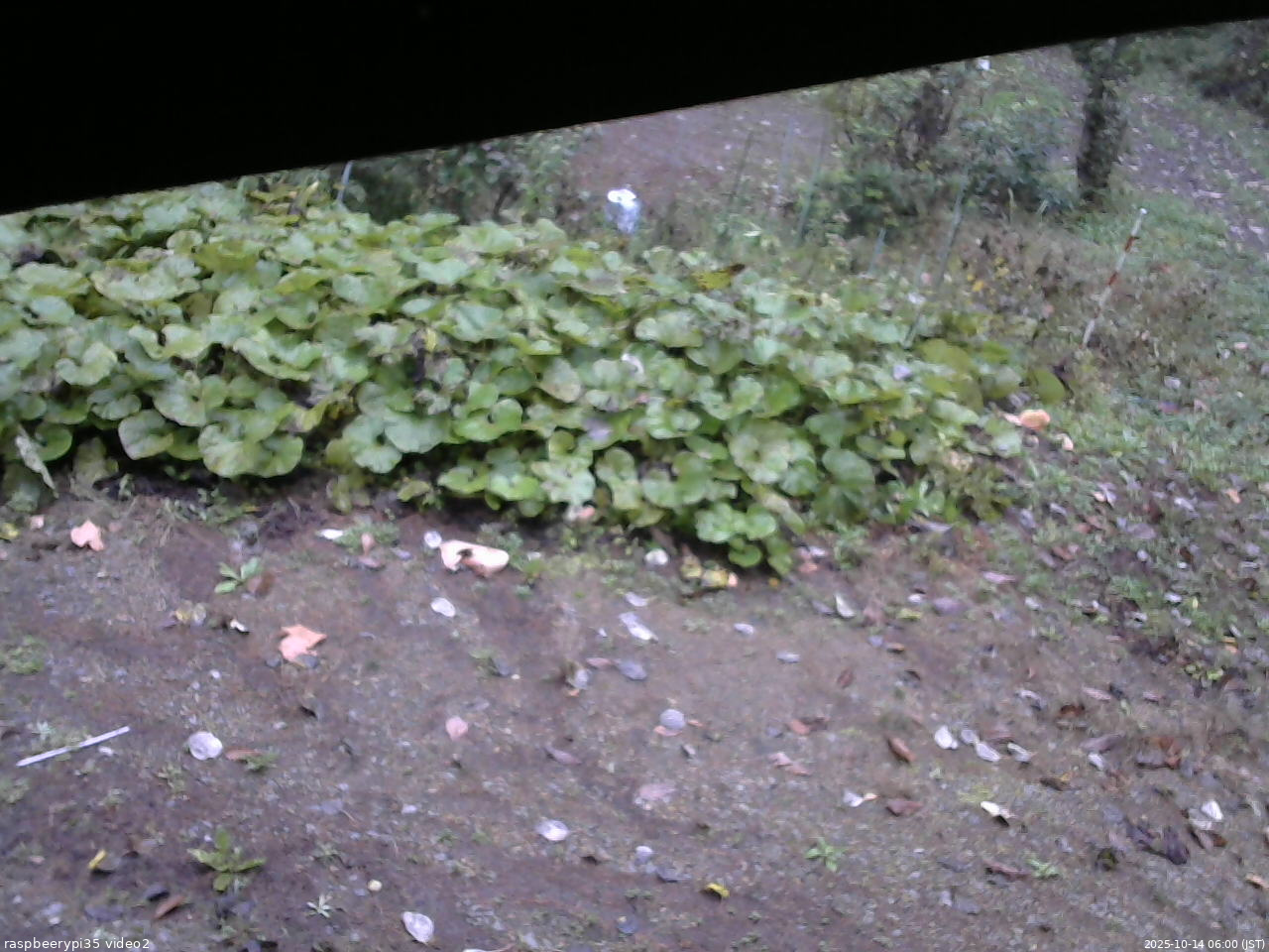 長野県菅平高原 ゆたか山荘 駐車場 2025/10/14 06:00