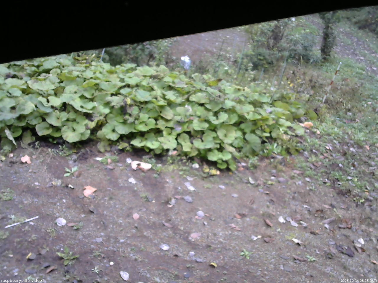 長野県菅平高原 ゆたか山荘 駐車場 2025/10/14 08:15