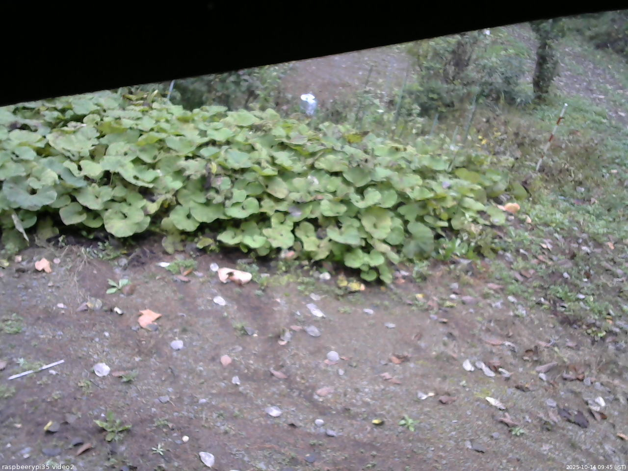 長野県菅平高原 ゆたか山荘 駐車場 2025/10/14 09:45