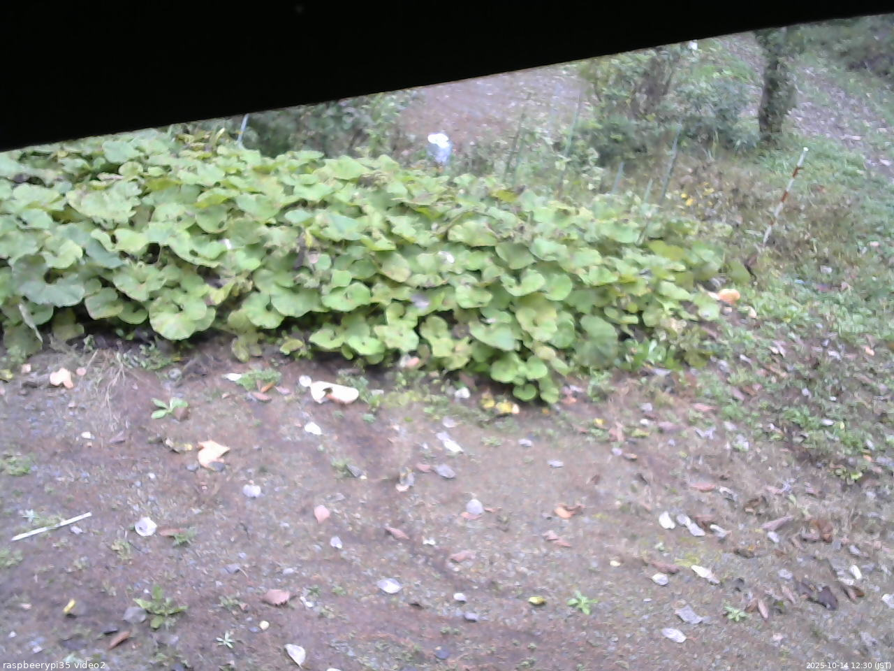 長野県菅平高原 ゆたか山荘 駐車場 2025/10/14 12:30