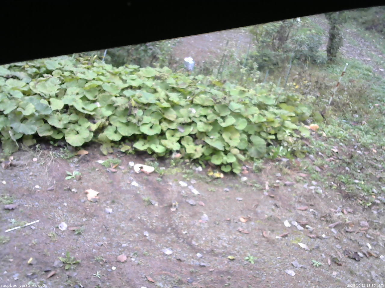 長野県菅平高原 ゆたか山荘 駐車場 2025/10/14 13:30