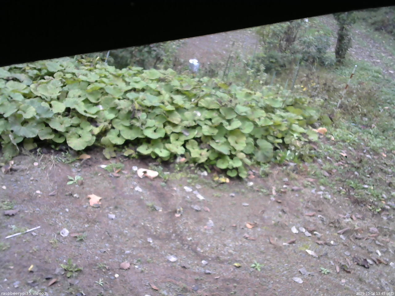 長野県菅平高原 ゆたか山荘 駐車場 2025/10/14 13:45