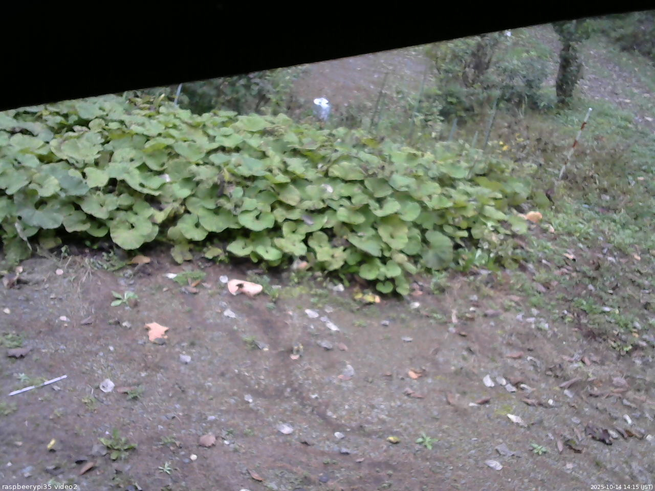 長野県菅平高原 ゆたか山荘 駐車場 2025/10/14 14:15