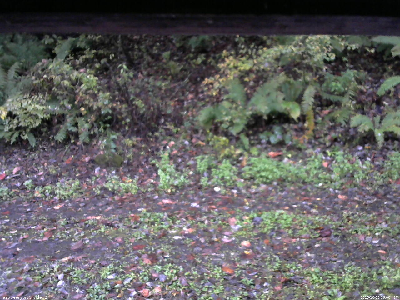長野県菅平高原 ゆたか山荘 南側 2025/10/15 06:00