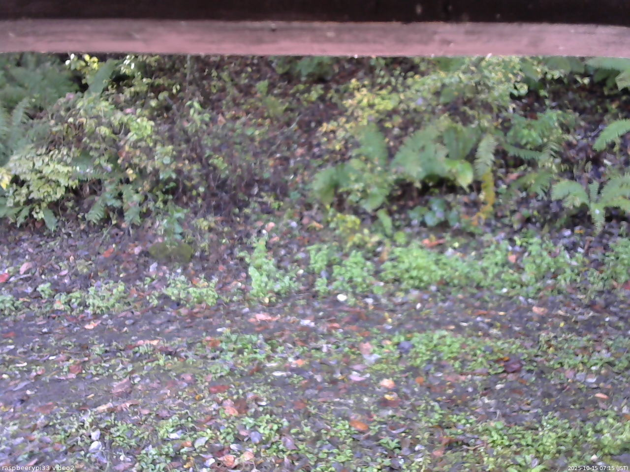 長野県菅平高原 ゆたか山荘 南側 2025/10/15 07:15