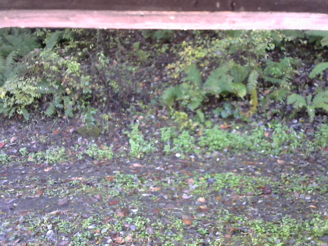 長野県菅平高原 ゆたか山荘 南側 2025/10/15 07:30