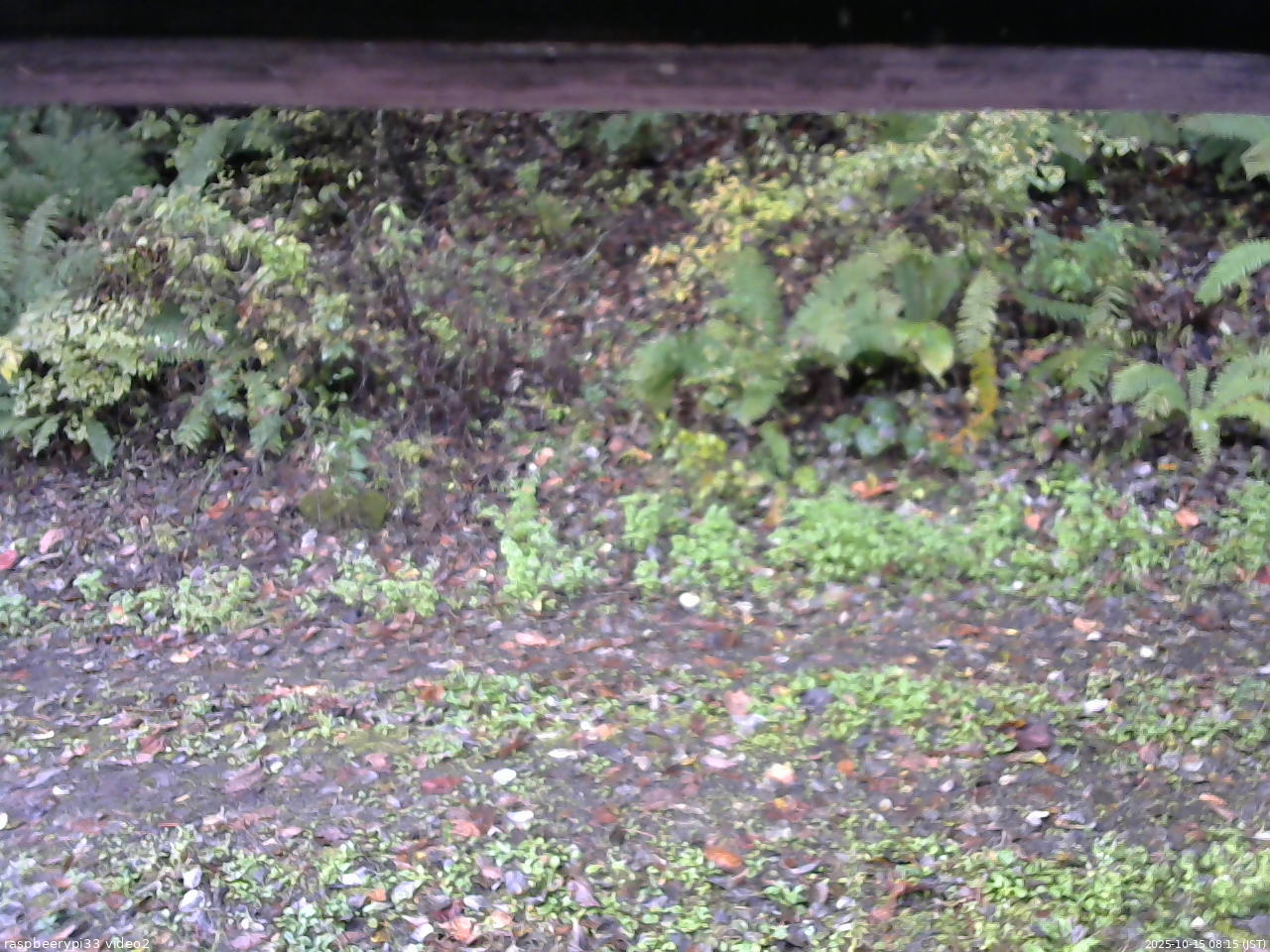 長野県菅平高原 ゆたか山荘 南側 2025/10/15 08:15