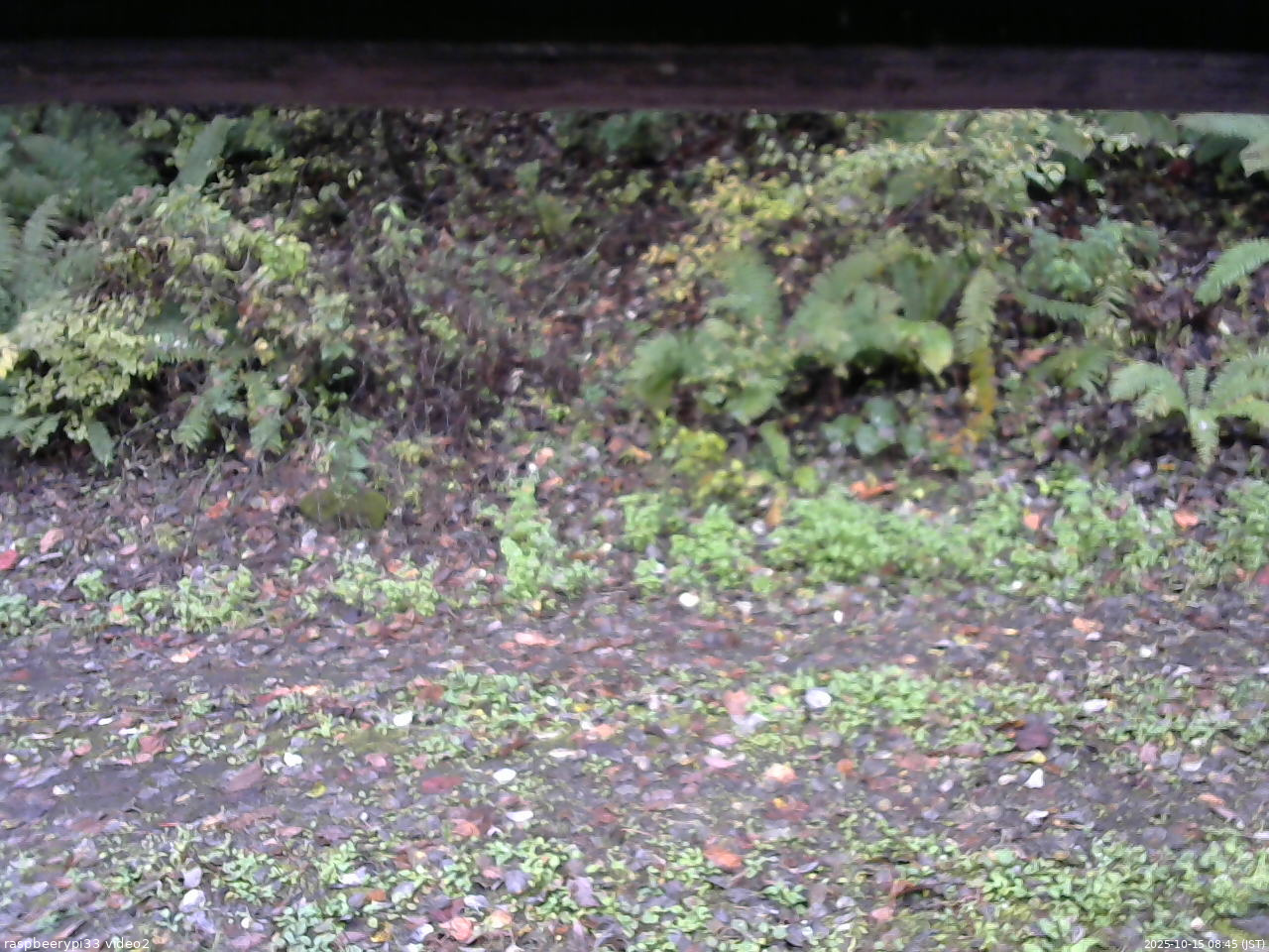 長野県菅平高原 ゆたか山荘 南側 2025/10/15 08:45