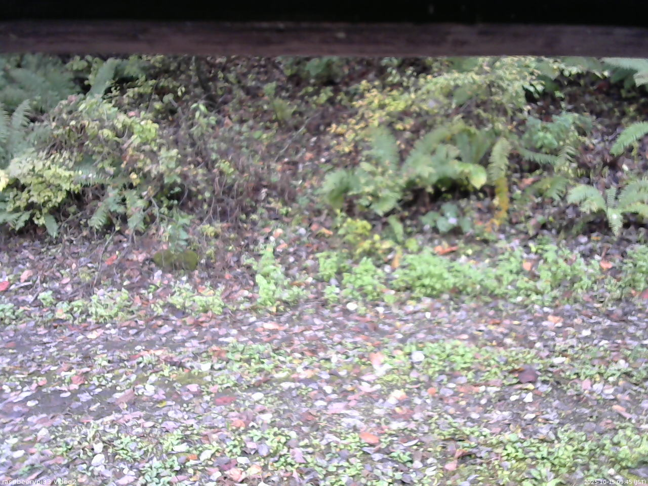 長野県菅平高原 ゆたか山荘 南側 2025/10/15 09:45