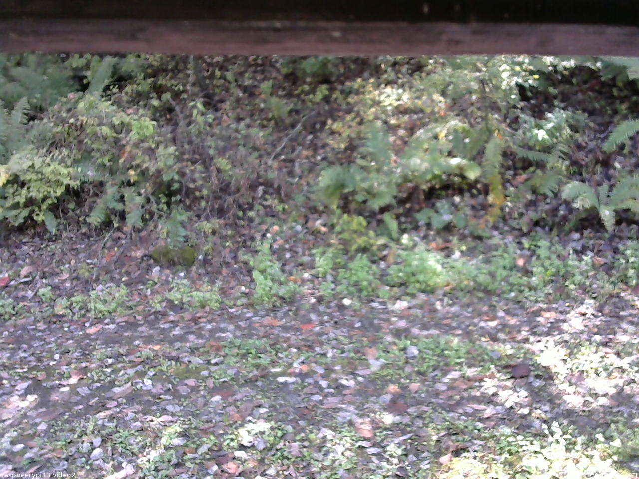 長野県菅平高原 ゆたか山荘 南側 2025/10/15 11:30
