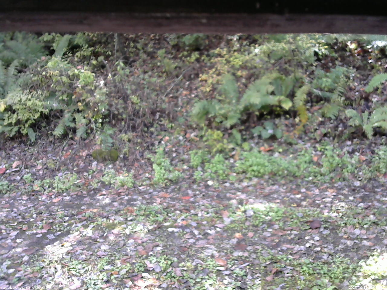 長野県菅平高原 ゆたか山荘 南側 2025/10/15 11:45
