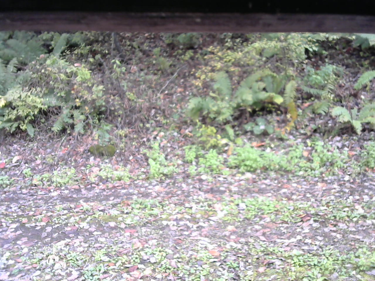 長野県菅平高原 ゆたか山荘 南側 2025/10/15 14:00