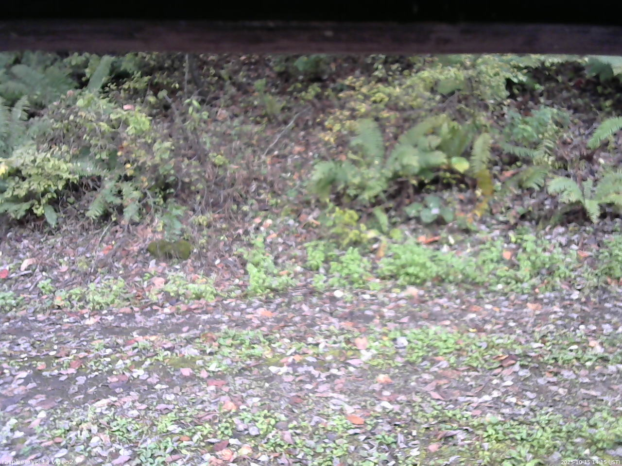 長野県菅平高原 ゆたか山荘 南側 2025/10/15 14:15