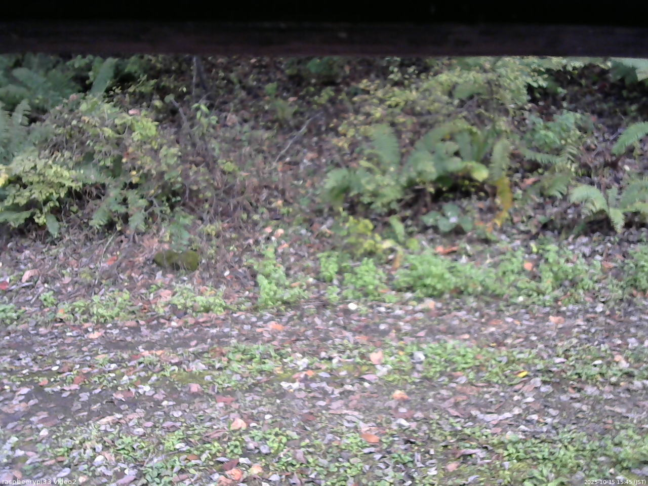 長野県菅平高原 ゆたか山荘 南側 2025/10/15 15:45