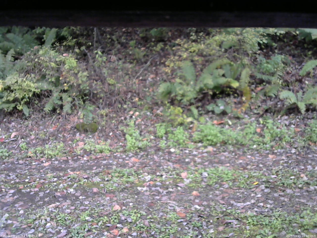 長野県菅平高原 ゆたか山荘 南側 2025/10/15 16:00