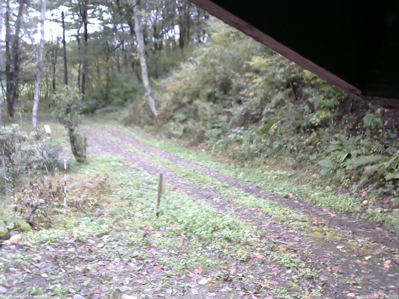 長野県菅平高原 ゆたか山荘 東側(坂下) 2025/10/15 08:30