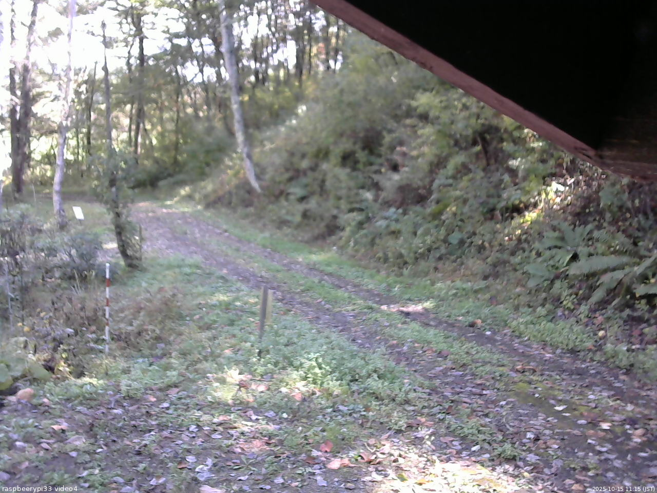 長野県菅平高原 ゆたか山荘 東側(坂下) 2025/10/15 11:15