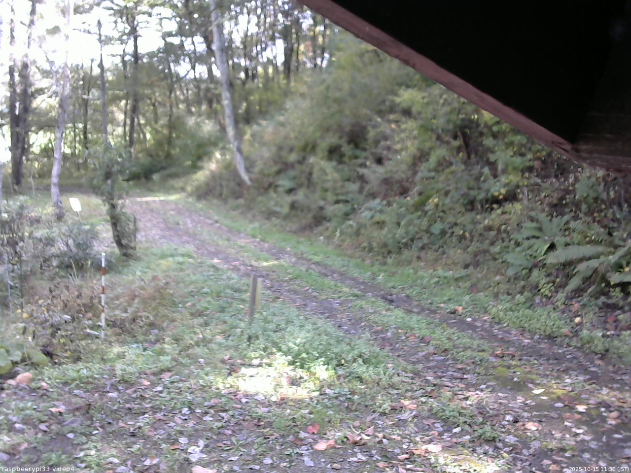 長野県菅平高原 ゆたか山荘 東側(坂下) 2025/10/15 11:30