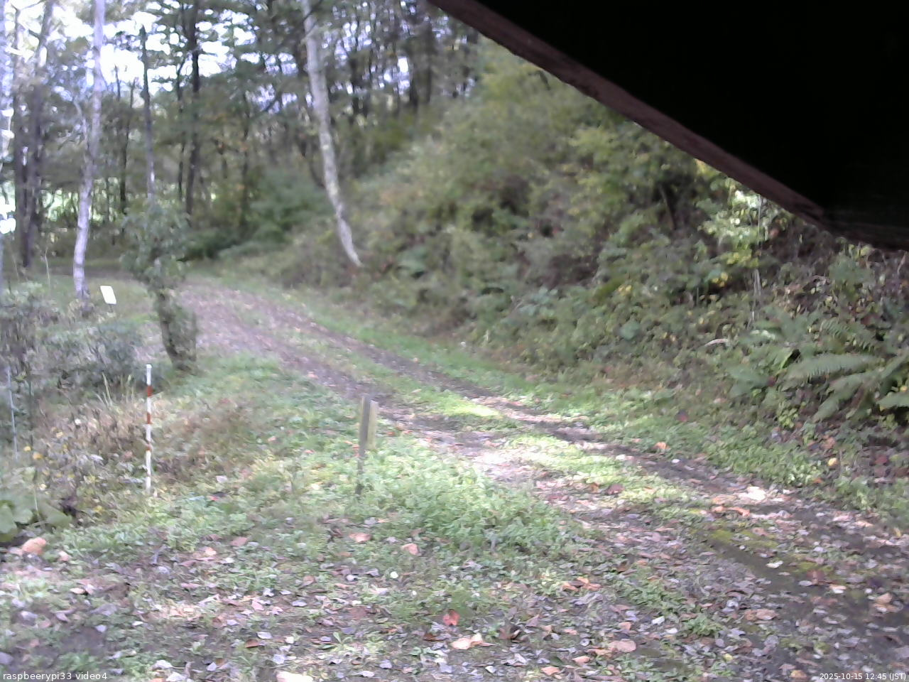 長野県菅平高原 ゆたか山荘 東側(坂下) 2025/10/15 12:45