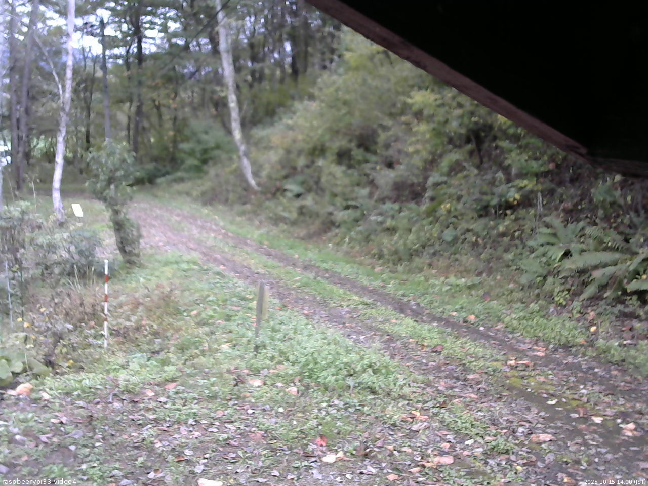 長野県菅平高原 ゆたか山荘 東側(坂下) 2025/10/15 14:00