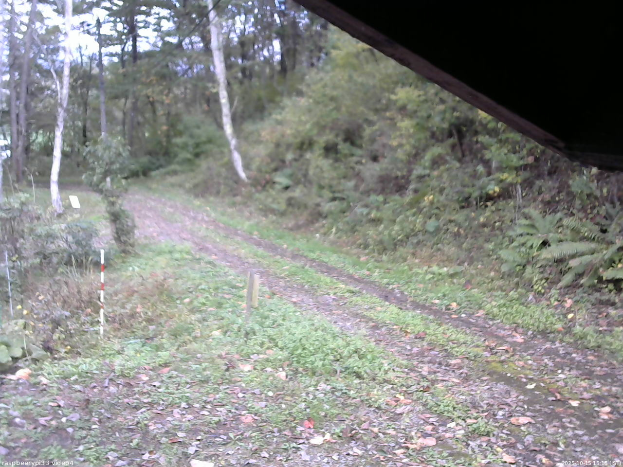 長野県菅平高原 ゆたか山荘 東側(坂下) 2025/10/15 15:15