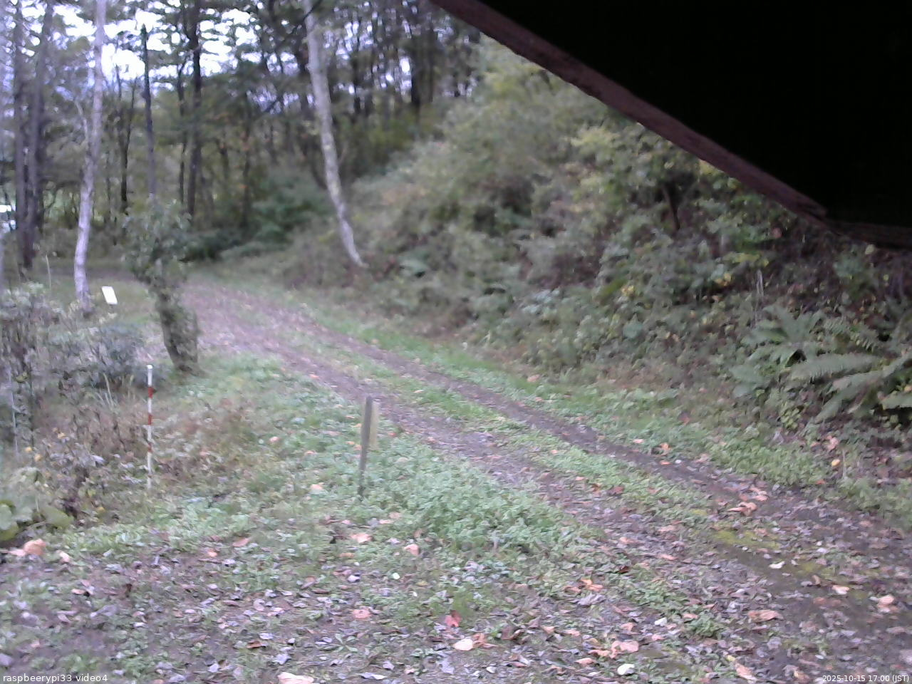 長野県菅平高原 ゆたか山荘 東側(坂下) 2025/10/15 17:00