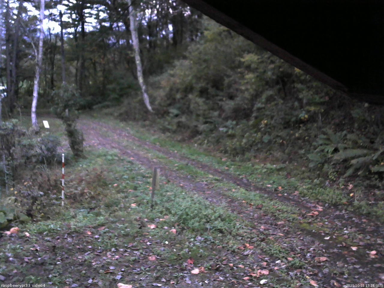 長野県菅平高原 ゆたか山荘 東側(坂下) 2025/10/15 17:15