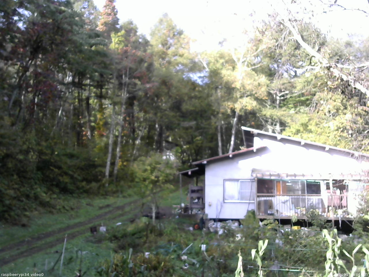 長野県菅平高原 ゆたか山荘 西側(坂上) 2025/10/15 08:00