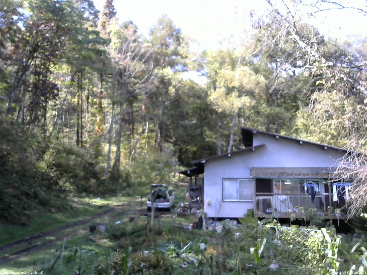 長野県菅平高原 ゆたか山荘 西側(坂上) 2025/10/15 11:30