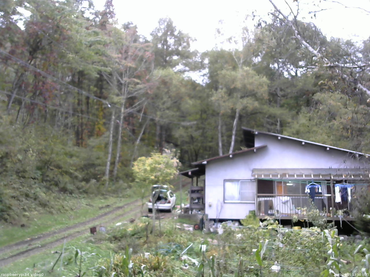 長野県菅平高原 ゆたか山荘 西側(坂上) 2025/10/15 13:30