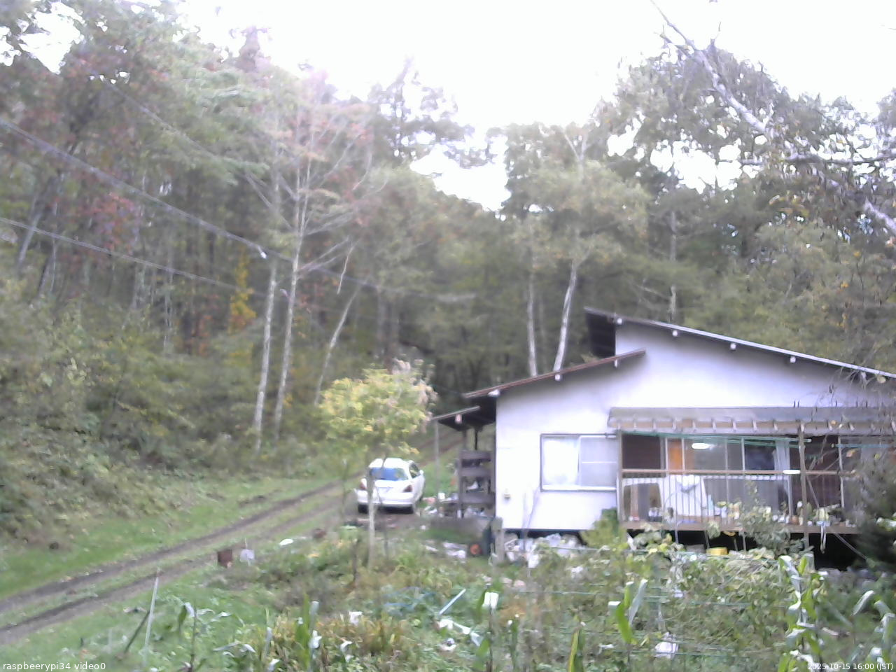 長野県菅平高原 ゆたか山荘 西側(坂上) 2025/10/15 16:00