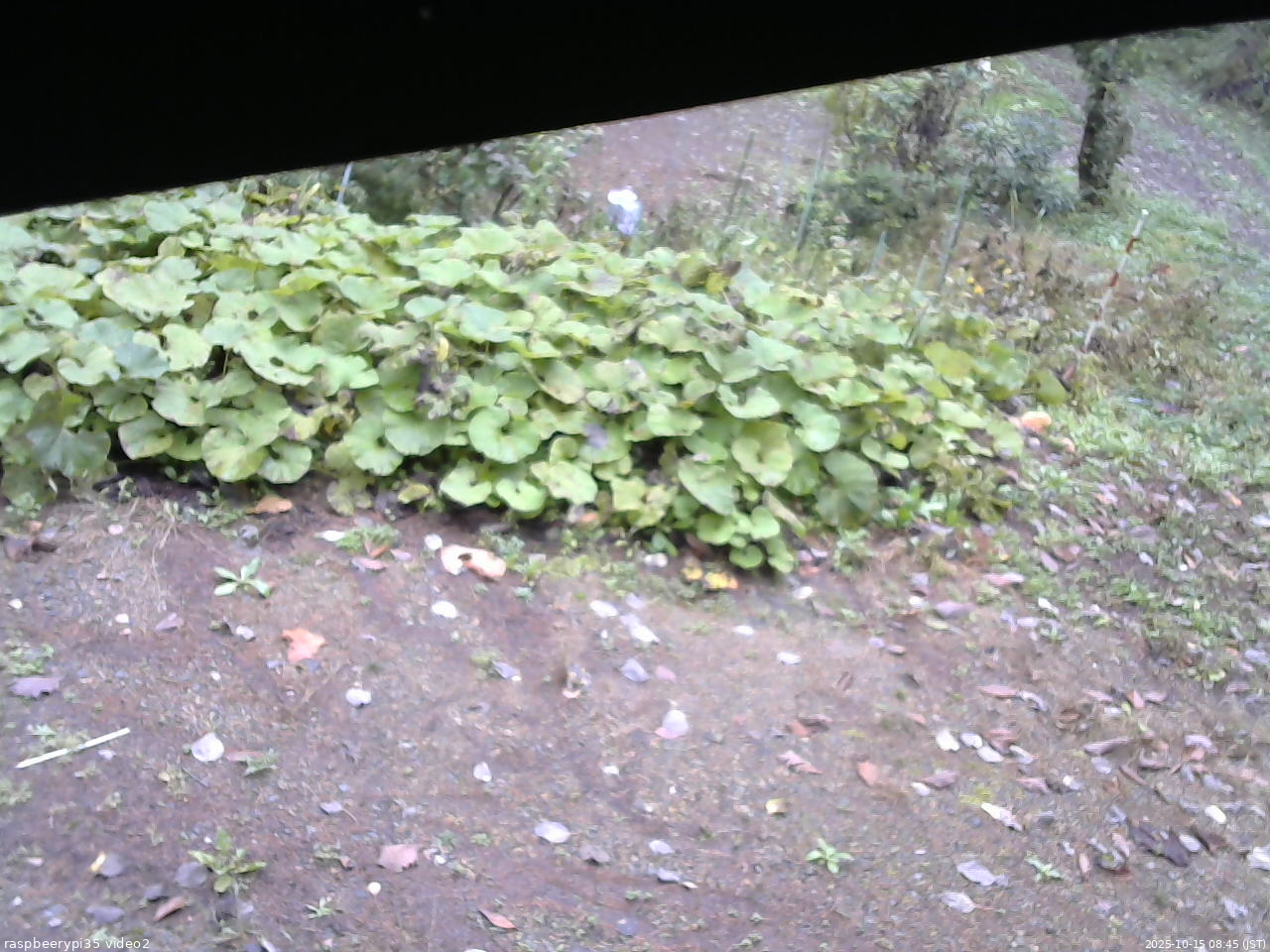 長野県菅平高原 ゆたか山荘 駐車場 2025/10/15 08:45
