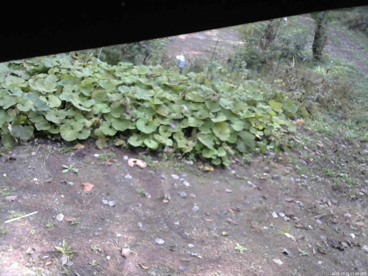 長野県菅平高原 ゆたか山荘 駐車場 2025/10/15 11:00