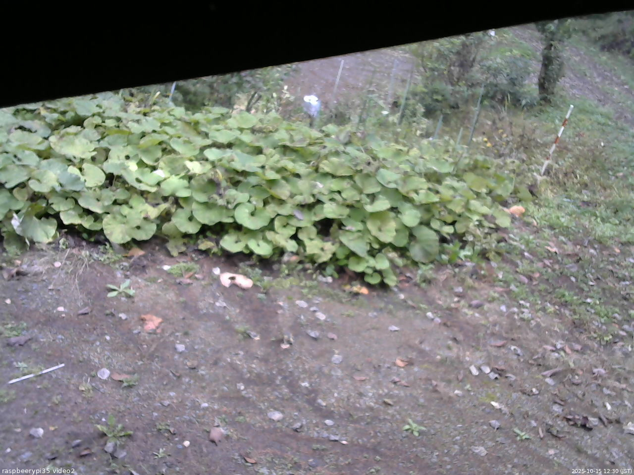 長野県菅平高原 ゆたか山荘 駐車場 2025/10/15 12:30