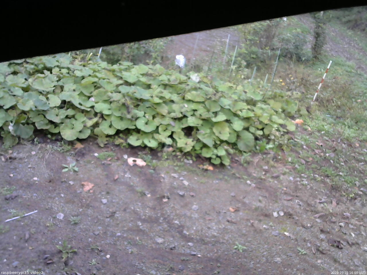 長野県菅平高原 ゆたか山荘 駐車場 2025/10/15 16:00