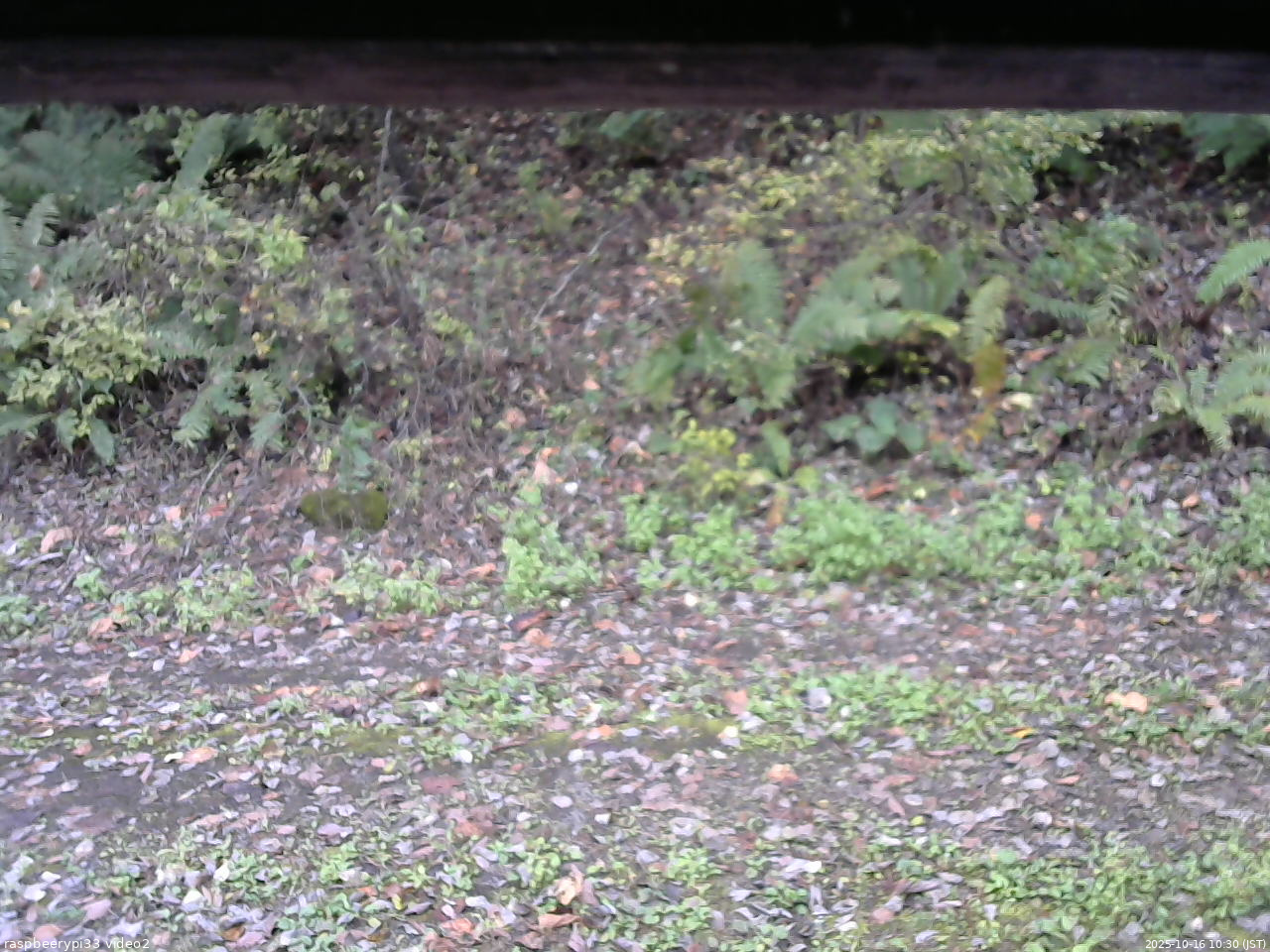 長野県菅平高原 ゆたか山荘 南側 2025/10/16 10:30