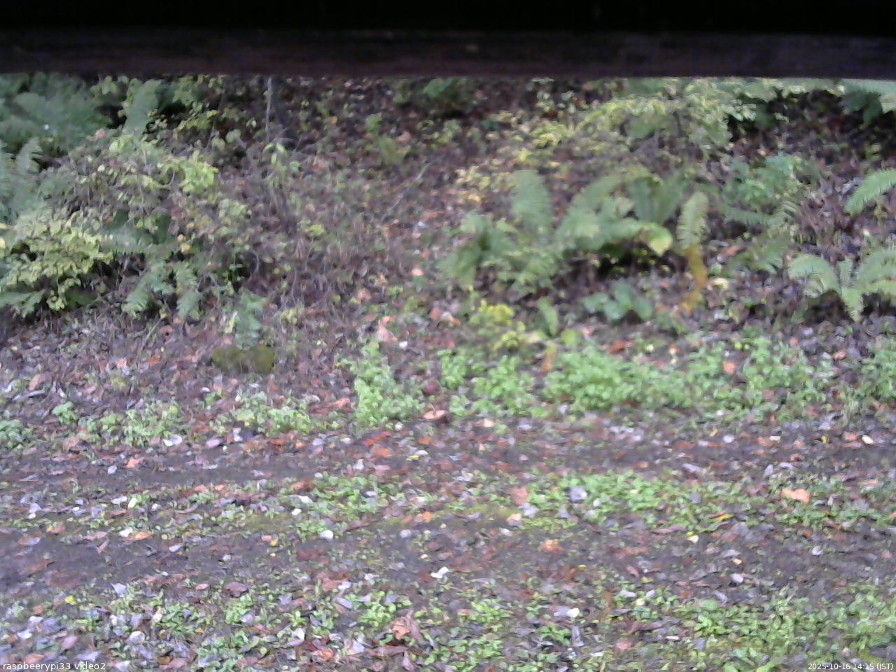 長野県菅平高原 ゆたか山荘 南側 2025/10/16 14:15
