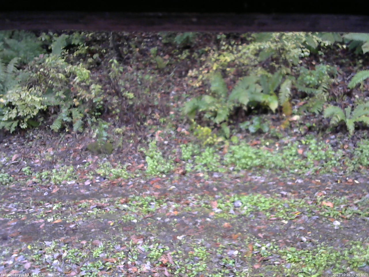 長野県菅平高原 ゆたか山荘 南側 2025/10/16 15:45