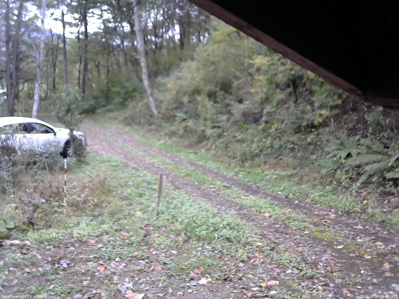 長野県菅平高原 ゆたか山荘 東側(坂下) 2025/10/16 09:45