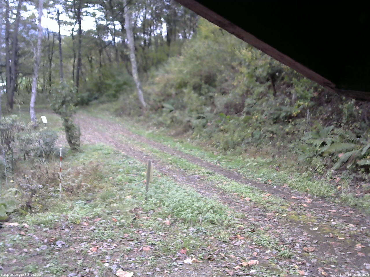 長野県菅平高原 ゆたか山荘 東側(坂下) 2025/10/16 10:45