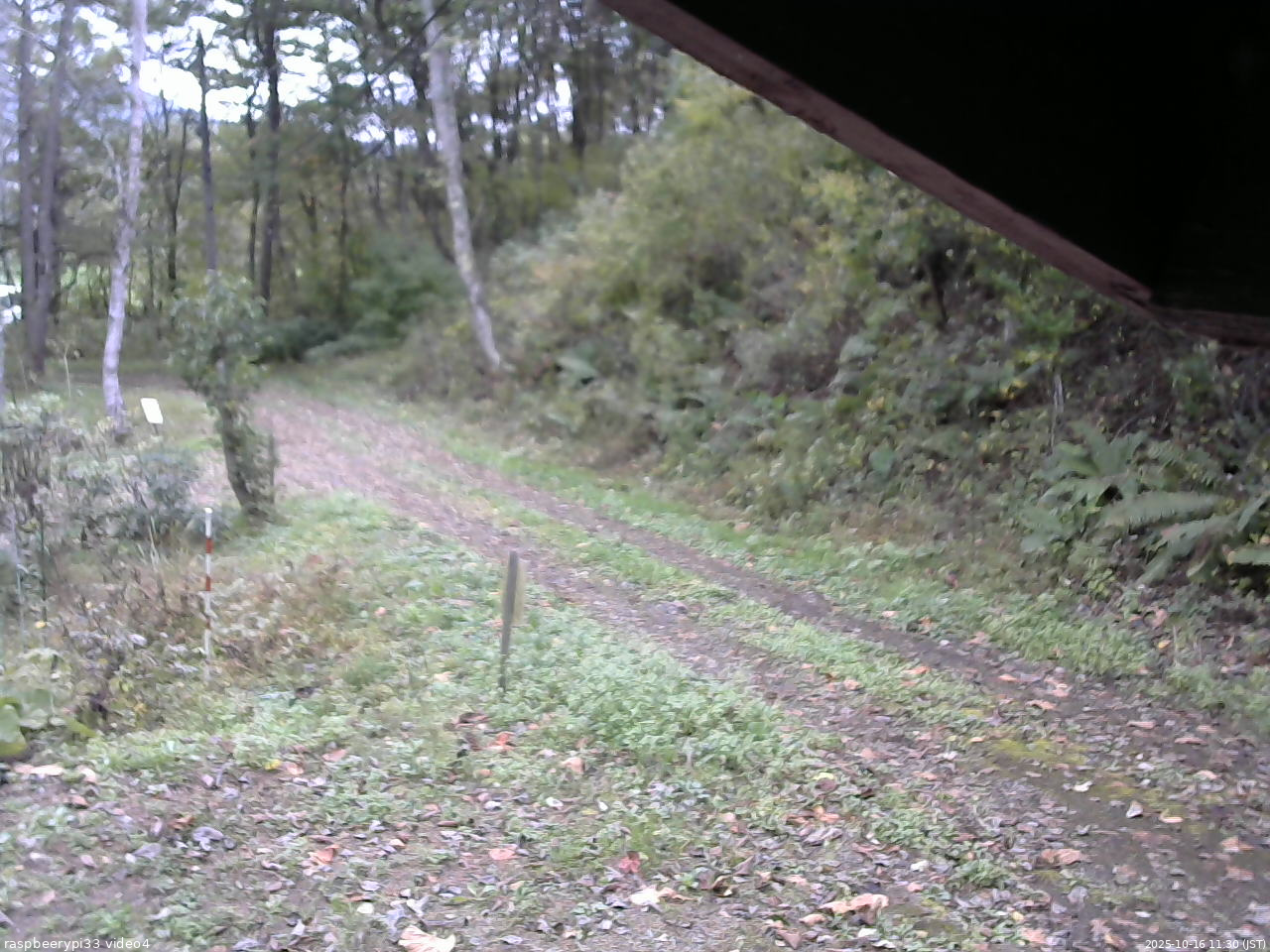 長野県菅平高原 ゆたか山荘 東側(坂下) 2025/10/16 11:30