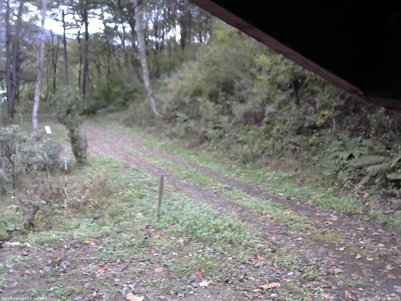 長野県菅平高原 ゆたか山荘 東側(坂下) 2025/10/16 11:45