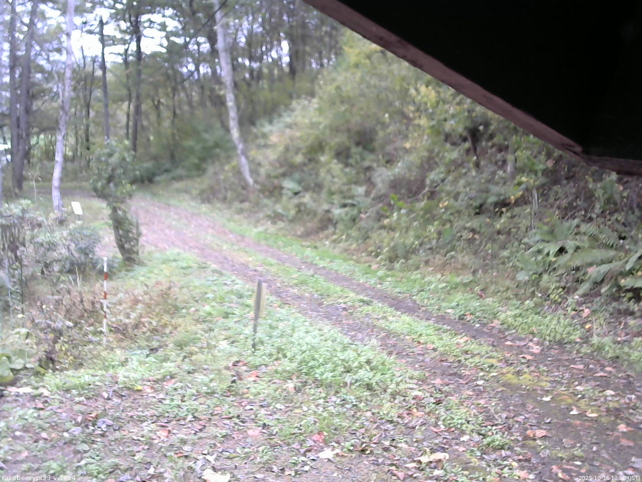 長野県菅平高原 ゆたか山荘 東側(坂下) 2025/10/16 12:00