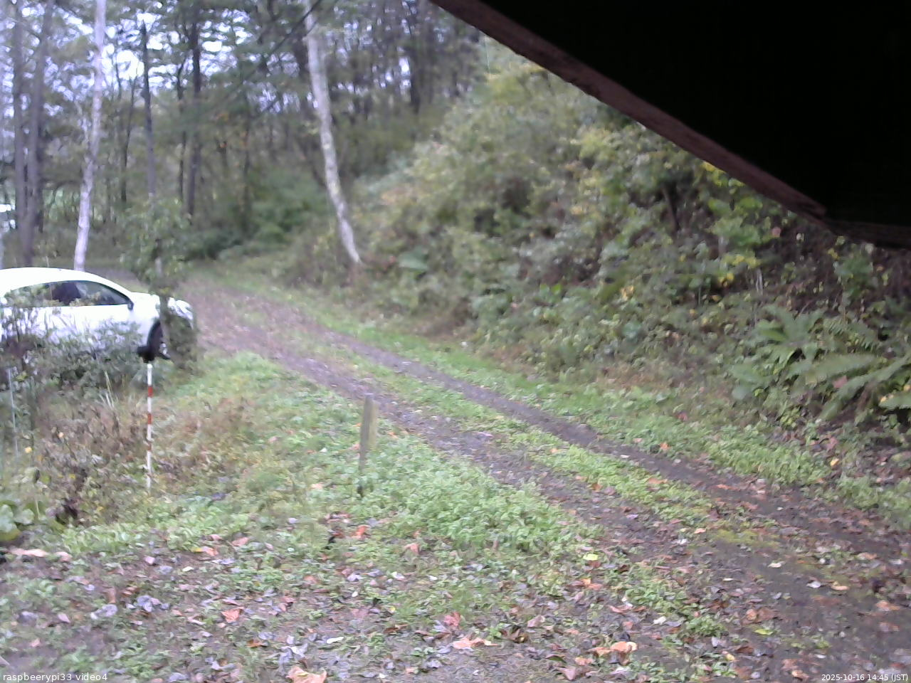 長野県菅平高原 ゆたか山荘 東側(坂下) 2025/10/16 14:45