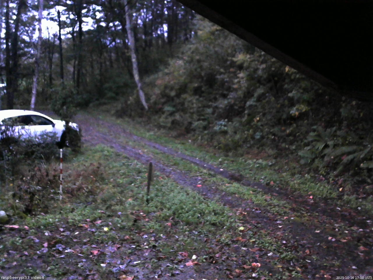 長野県菅平高原 ゆたか山荘 東側(坂下) 2025/10/16 17:00